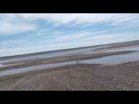 Las playas de San Antonio Oeste Rio Negro  #argentina #ríonegro #sanantoniooeste #playas 