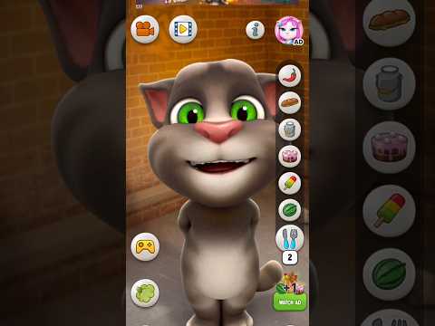 GET A NEEDLE TO SEW A CLOTHES TO SING TOM CAT #meotomhat #funny #meotmhatcover