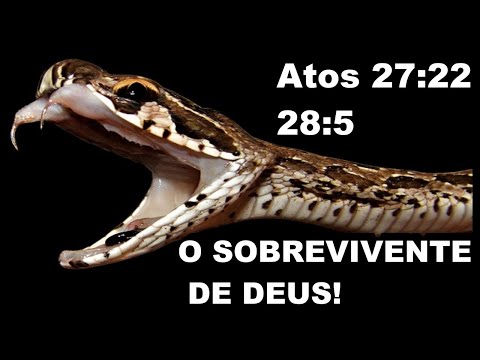 O SOBREVIVENTE DE DEUS! (Atos 27:22 / 28:5) 29/08/22