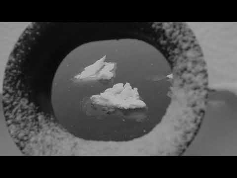 "Anthropocene" (2020) - A New Epoch scene