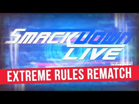 Fight Size Update: Brian Pillman Jr Meets With Mark Henry, Ronda Rousey Going To China, DDP Runs Into Scott Hall