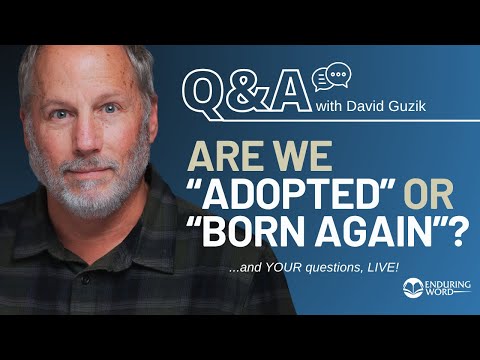 Are We Adopted or Born Again? LIVE Q&A, Aug 7 w/ David Guzik