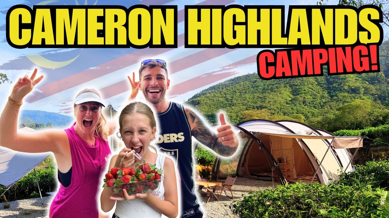 UK Family Road Trip & Camping in Malaysia’s Cameron Highlands | Hiking & Family Fun