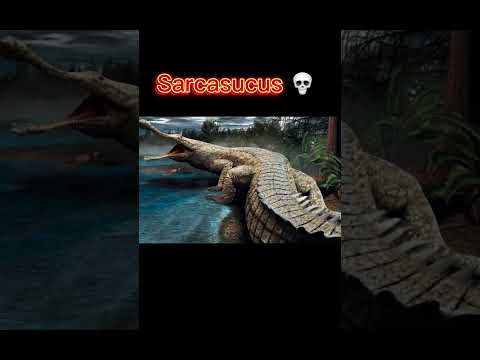 Animals and their scariest ancestors