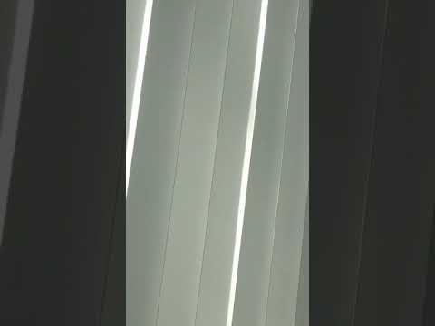 Sky & Stratus get spooked