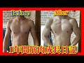 1年間ガチで筋トレしたらヤバイ事になった【筋肉成長日記】