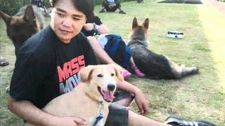 preview picture of video 'PDLC 2nd Dog Walk April 22, 2012 @ Quezon City Circle'