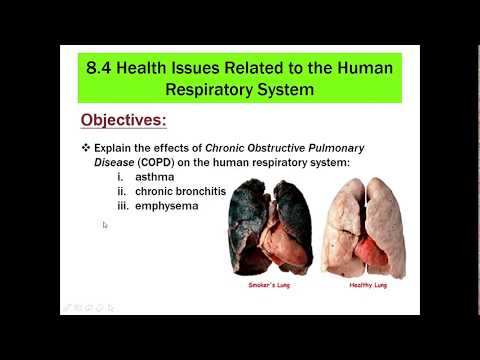 8.4 Health Issues Related to the Human Respiratory System