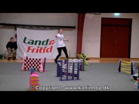 Danish Championships 2013 in Rabbit Hopping - The winners