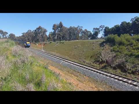 XPT (and a pesky butterfly) at Kapooka, NSW.