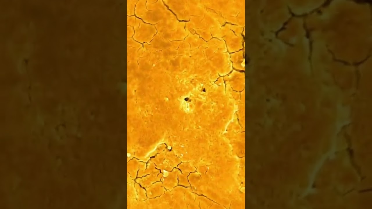 #egg shell 🥚. #satisfying #microscope #zoom #viral