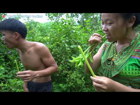 Primitive Life: Find Rich fruits at up the hill for Survival - Eating Delicious