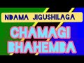 NDAMA JIGUSHILAGA UJUMBE WA CHAMAGI BHAHEMBA 2025