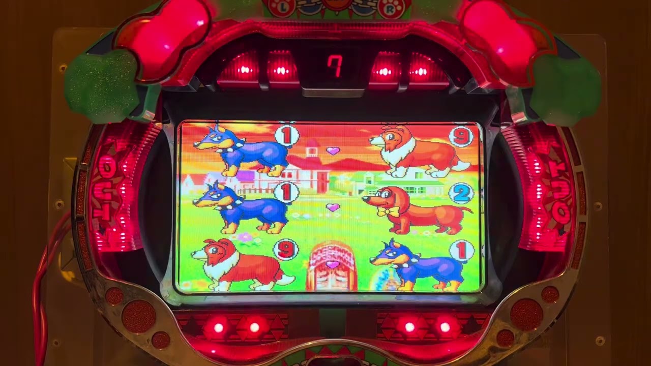 わんわんパラダイス