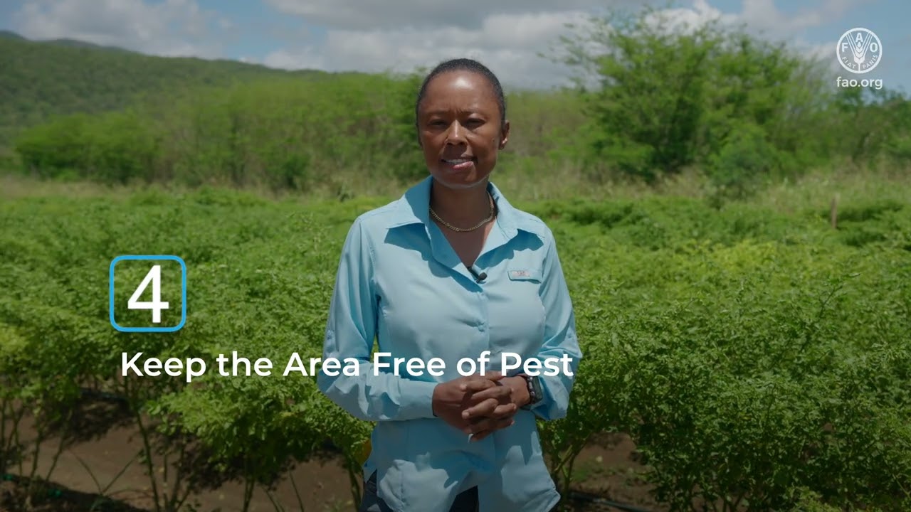 How to Establish an Area of Low Pest Prevalence (ALPP) for Peppers