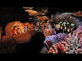The Seas With Nemo Friends Full Ride WDW EPCOT 2022