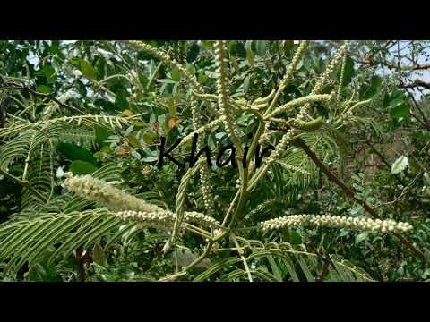 How to Pronounce Khair?