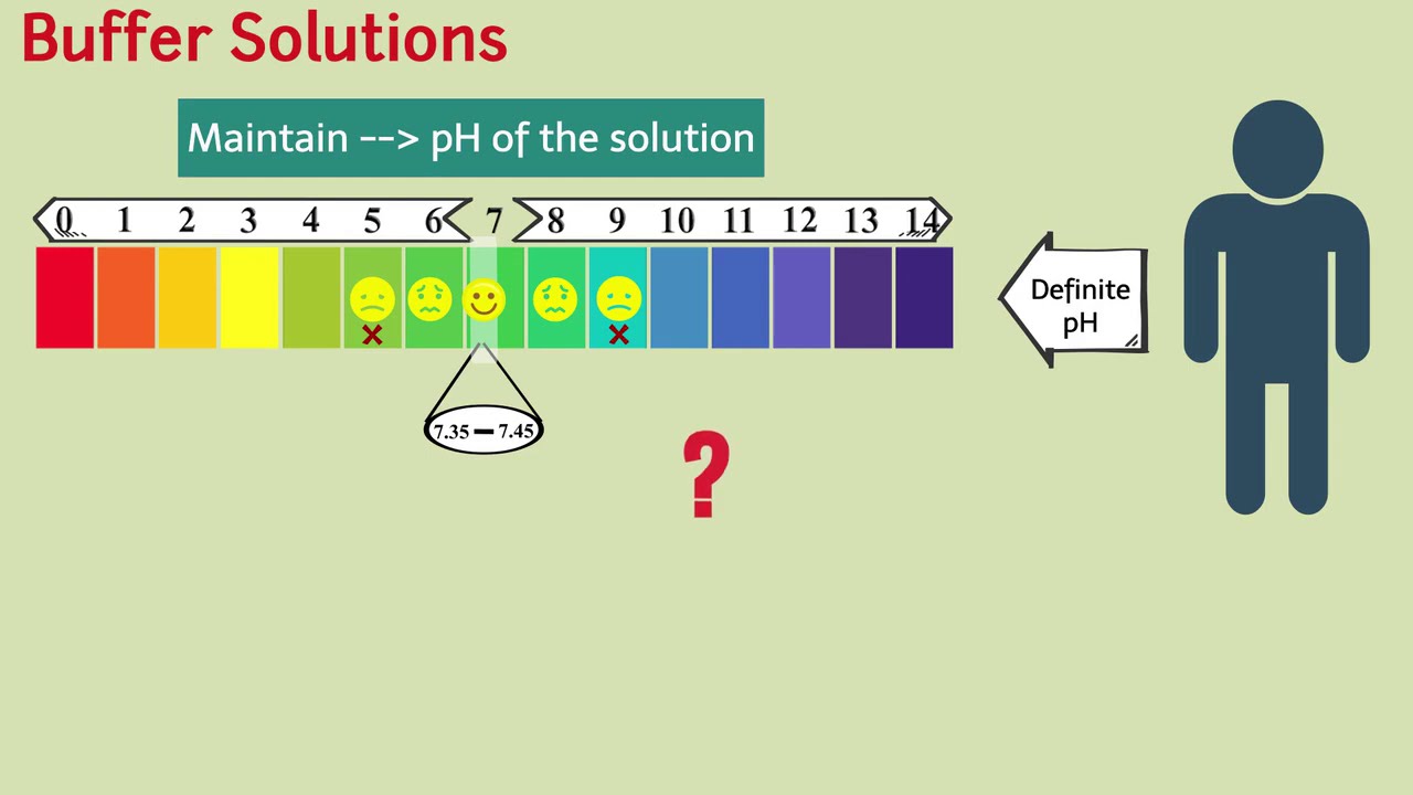 Equilibrium Class 11 Chemistry - Buffer Solutions