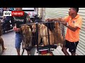 Annual dog meat festival goes ahead despite coronavirus