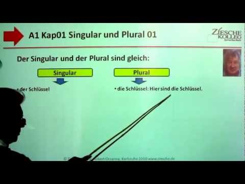 1.43 A1 Kap01 Pluralbildung01