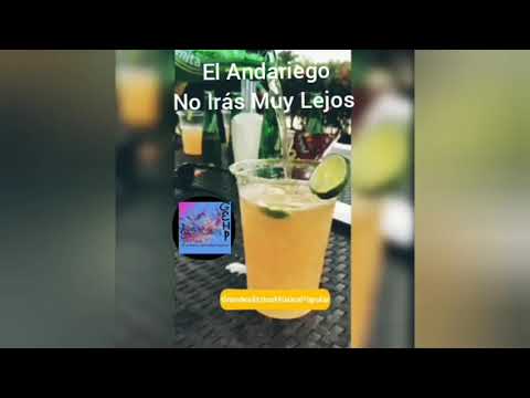 El Andariego - No Irás Muy Lejos (letra)