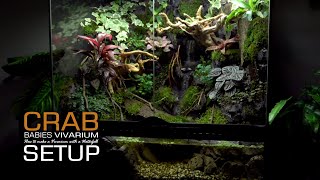 Setup Prevent Crabs Babies from escaping Paludarium|step by step