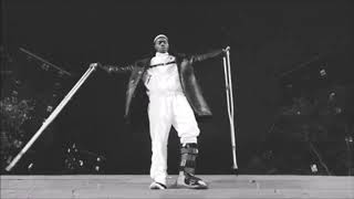 sheck wes - danimals (slowed + reverb)