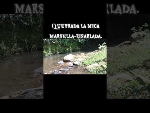QUEBRADA LA MICA MARSELLA-RISARALDA