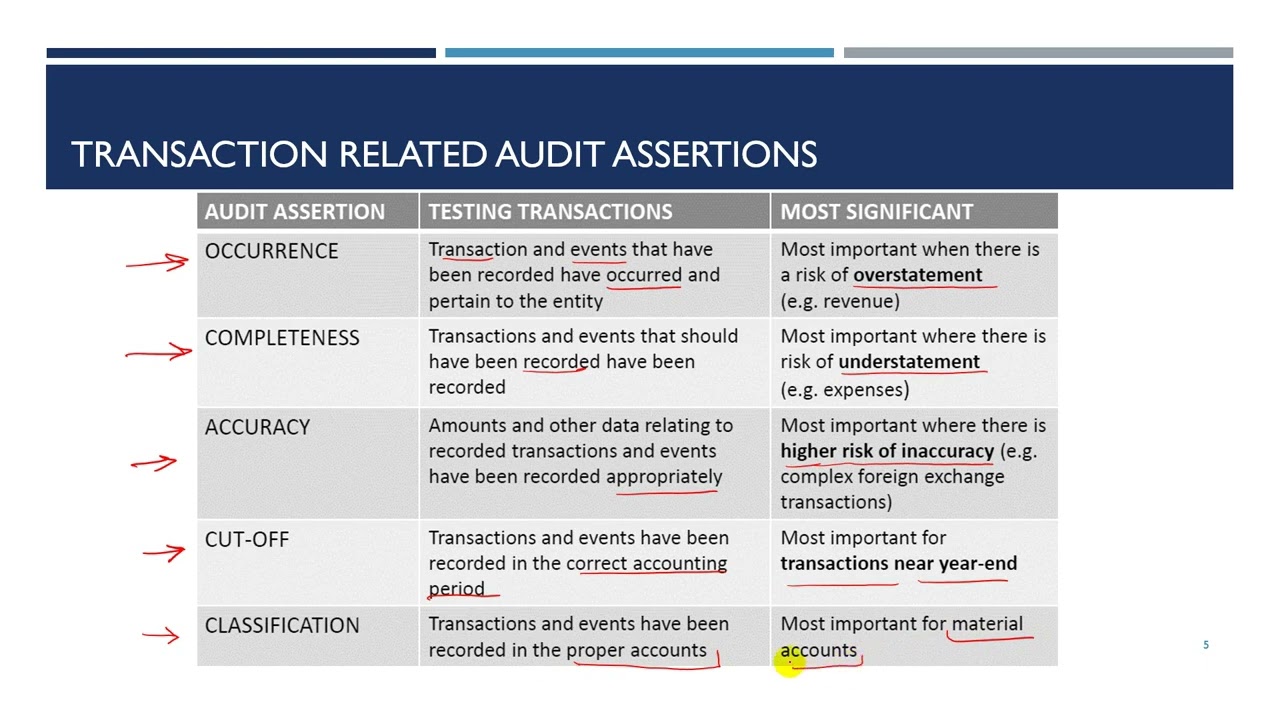 21. Audit Assertions