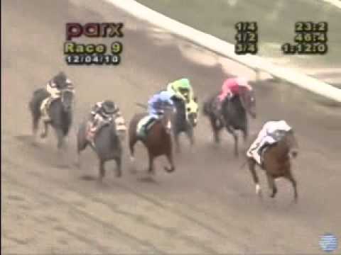 R Betty Graybull wins Allowance Philadelphiapark Dec4.wmv