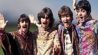 Why Did The Beatles Write "I Am The Walrus"?