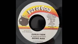 Beenie Man - Ganja Farm - Pot Of Gold 7&quot; w/ Version - 1999
