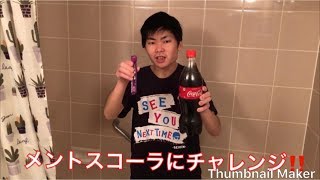 メントスコーラにチャレンジ‼️
