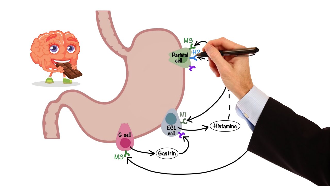 Pharmacology - GASTROINTESTINAL AND ANTIEMETIC DRUGS (MADE EASY)