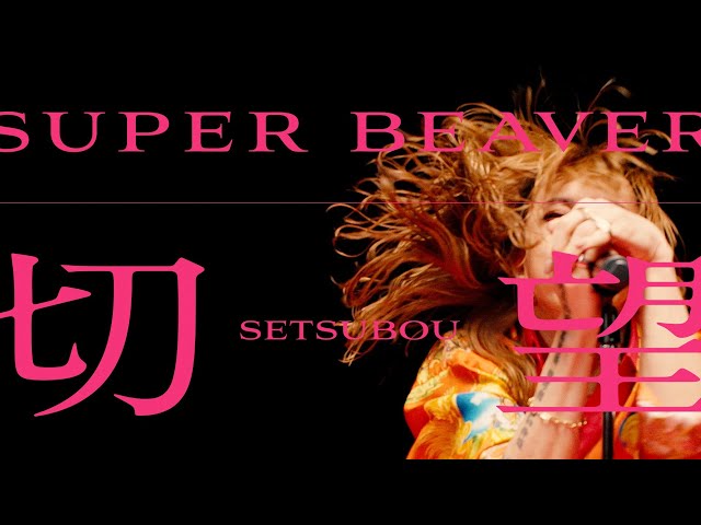 SUPER BEAVERニューアルバム『音楽』収録の新曲「切望」のMusic Video が2月24日(土)21:00よりプレミア公開決定! 2 YouTubeサムネイル