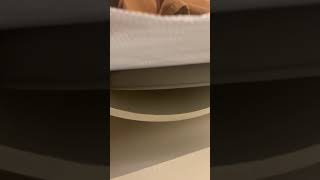 [問卦] 台北古亭地區晚上出現的貓頭鷹叫聲