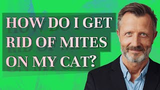 How do I get rid of mites on my cat?
