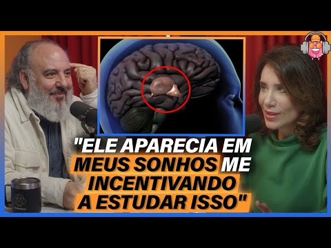 How does the study on the PINEAL GLAND work? - Dr. Sérgio Felipe de Oliveira (Neuroscientist)