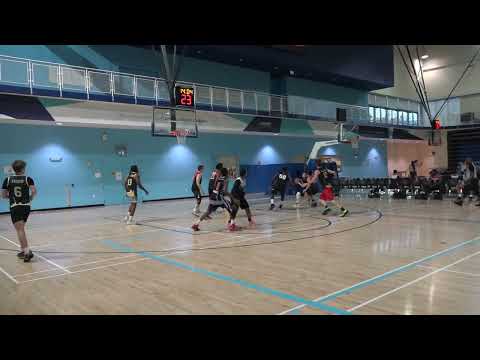 Flipside(2) vs Dream Chasers(7) - sunday tier 2 playoffs - tcbl 2022 spring