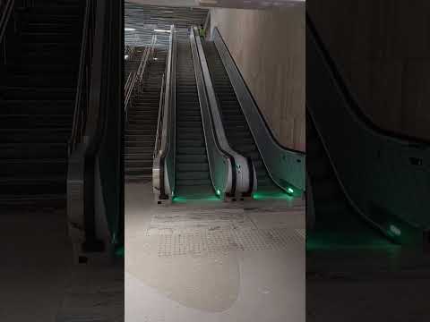 Asansör ve yürüyen merdiven  pinelift.com  info@pinelift.com