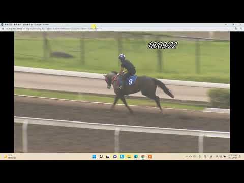 贏霸天「晨操節目」 22年9月21晨操評述第2段5 - 8場 香港賽馬 贏霸天賽馬足智彩研究室 入會whatsapp 5300 2997 臨場睇狀態！獨步天下！入會有即場狀態評述及特別消息