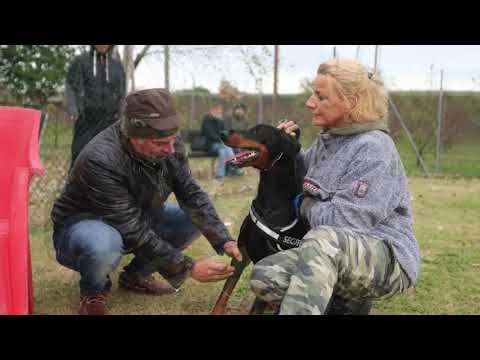 2019 11 23 ZTP SEZIONE ADRIATICA AIAD