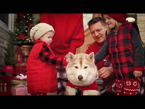 Christmas Gift Delivery by Liska