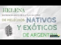 HELENA SIN PROBLEMA