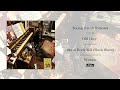 Young Fresh Fellows - Old Guy (Art Video)