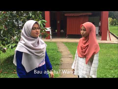 AGRICULTURE BASE PRODUCT - DELUXE PERFUME