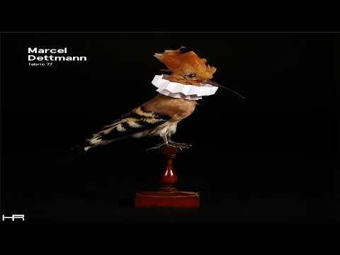fabric 77 - Marcel Dettmann (2014) [Continuous Mix]