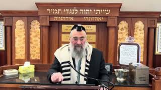 למה עושים סעודת פירות בט״ו בשבט? דיני קדימה בברכות (הרב יצחק ישראלי) - התמונה מוצגת ישירות מתוך אתר האינטרנט יוטיוב. זכויות היוצרים בתמונה שייכות ליוצרה. קישור קרדיט למקור התוכן נמצא בתוך דף הסרטון