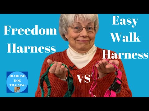 Easy Walk Harness vs Freedom Harness: No Pull Harness Review