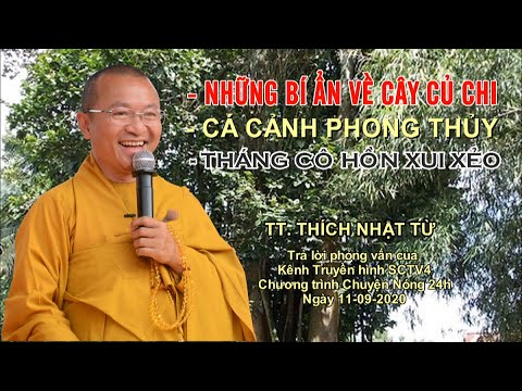 Thầy Nhật Từ trả lời phỏng vấn kênh Truyền hình SCTV4 (phần 1)